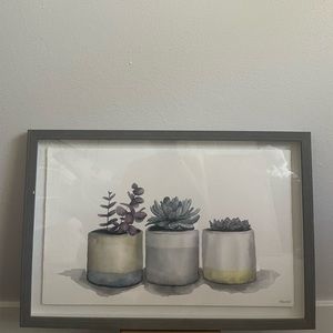 FRAMED Succulent Painting 16x24